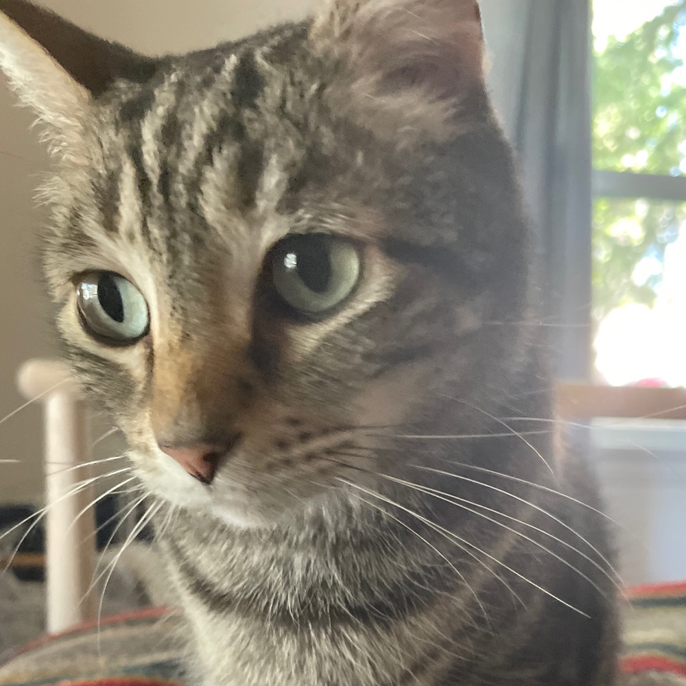 Meet your Posher, Valerie